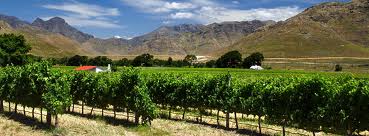 Cape Town - Winetasting Tour